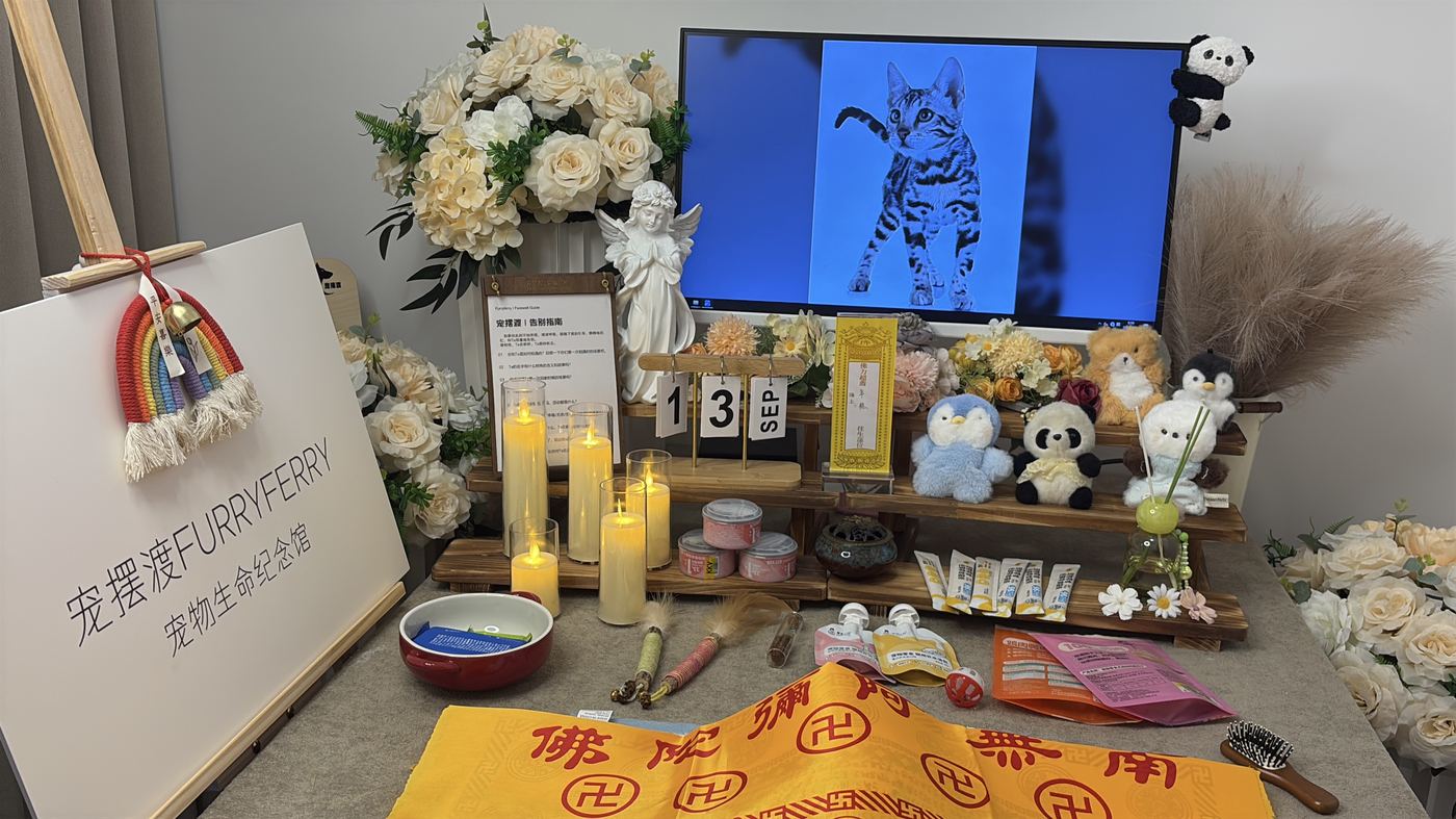 先看资质和场地