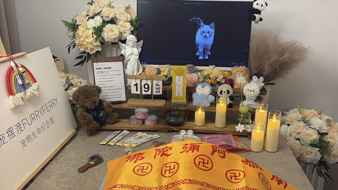 不同体型宠物的费用差异