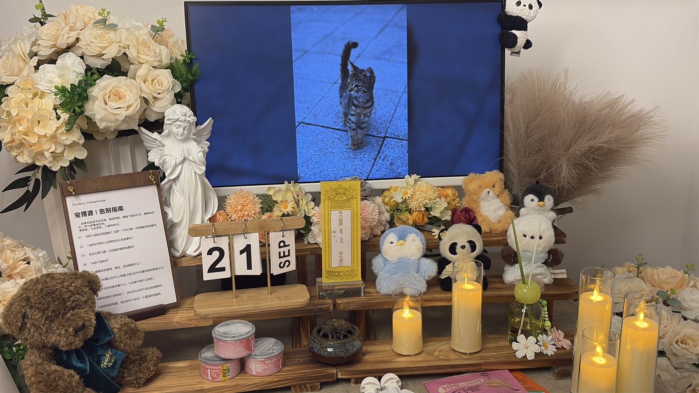 兰州宠物上门接回服务：24小时响应流程说明