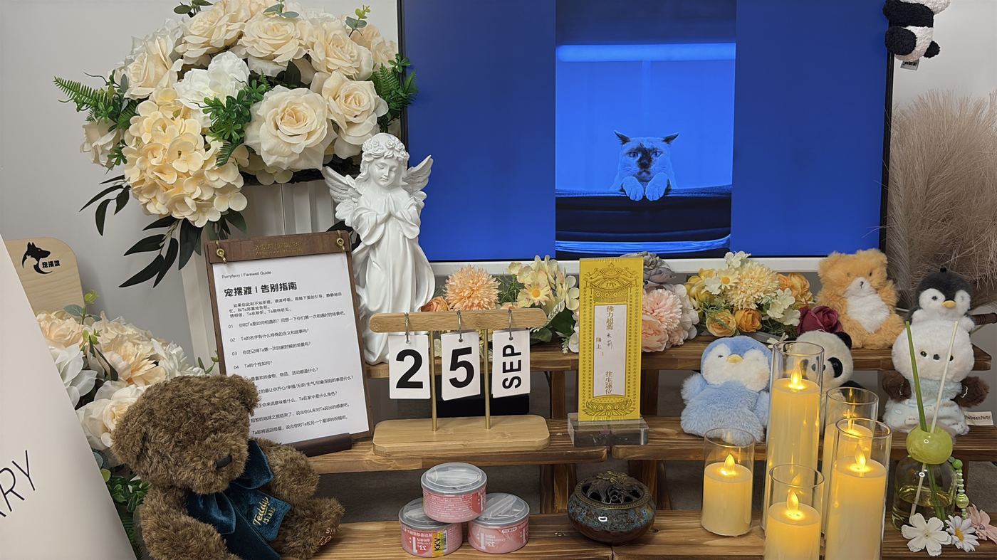 如何面对宠物离世的悲伤？写给兰州养宠人的心理支持